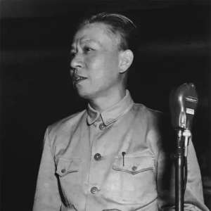 走进传奇女将的一生