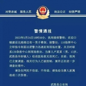 13岁初中生疑遭同学围殴致死