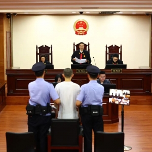 福建高院：吴谢宇作案时具有完全的辨认能力和控制能力