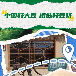 伊利植选向世界夸夸东北好豆，优质蛋白成就“中国好豆奶”！ ...