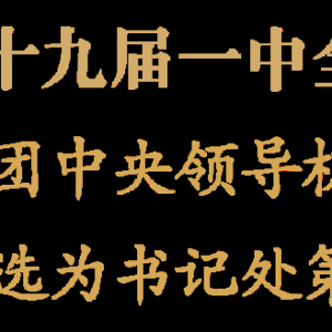 新一届团中央领导机构产生