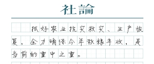 【社论】全球米价大涨，如何端牢饭碗
