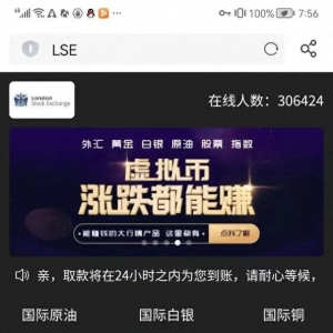 上海一女子陷网络投资“杀猪盘”20天被骗400万元，警方立案