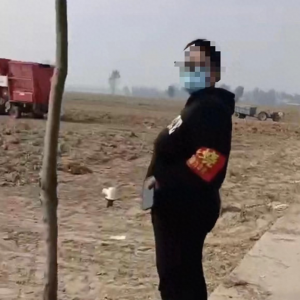 因领导检查扬尘太大，河南延津禁用机械设备收花生？当地回应 ...
