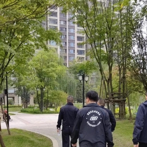 女童小区遭恶犬咬伤生命体征稳定，警方称涉事罗威纳犬有主人 ... ...