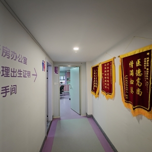 襄阳健桥医院“贩卖出生证明”事件追踪：7人已被采取刑事强制措施 ...