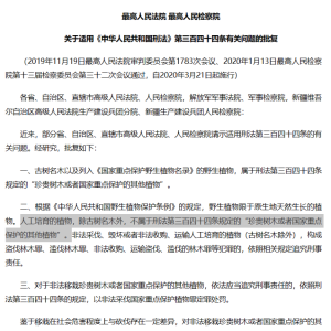男子售卖自家26棵香樟判缓刑背后：人工栽种香樟算不算重点保护植物 ...