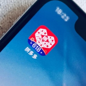 拼多多发布最新财报，背后的亮点揭示了什么？