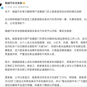 极越汽车回应员工被辞事件：一场舆论风波的深度分析