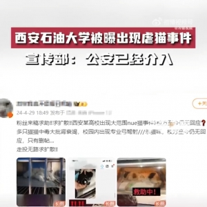 西安石油大学虐猫事件：舆情分析与危机管理