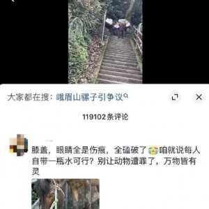 峨眉山骡子负重爬山争议：舆情分析与社会责任探讨