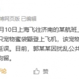舆情分析与航空安全反思：女子违规携带宠物蜜袋鼯登机致航班延误 ... ...