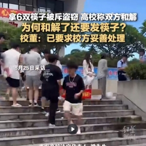 女孩拿6双筷子被斥盗窃：舆情分析与社会反思