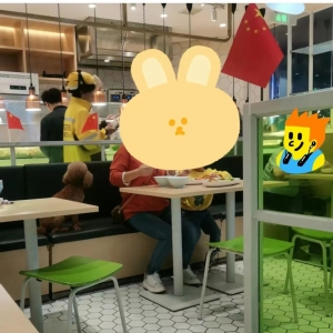 舆情分析：上海一餐厅内女子与狗共用筷子吃饭
