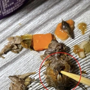 知名品牌方便面酸菜中吃出鼠头？企业：需确认核实