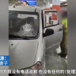 未拴绳狗遭碾压女主人砸车打人事件：舆情分析与社会反思