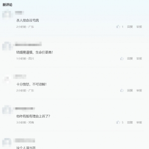 舆情分析：离婚冷静期杀妻案二审宣判，广东高院维持死刑判决 ...