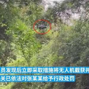 舆情分析：19岁男子在成都熊猫基地放飞无人机，被终身禁止进入园区 ...