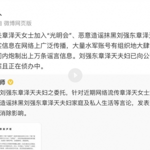 社会舆情：刘强东章泽天夫妇遭有组织造谣抹黑