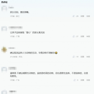 女童在五大连池卧虎山喂鹿被扑倒受伤