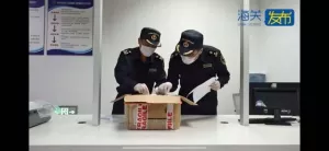 生性凶猛、集体作战、繁殖强劲：979只野蛮收获蚁入境上海引发社会关注 ...