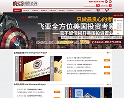 飞亚国际咨询集团